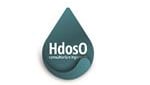 Lee más sobre el artículo HDosO Consultores