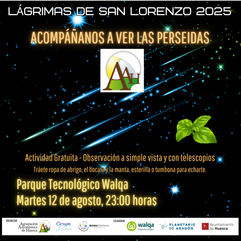 Lee más sobre el artículo LÁGRIMAS DE SAN LORENZO EN WALQA