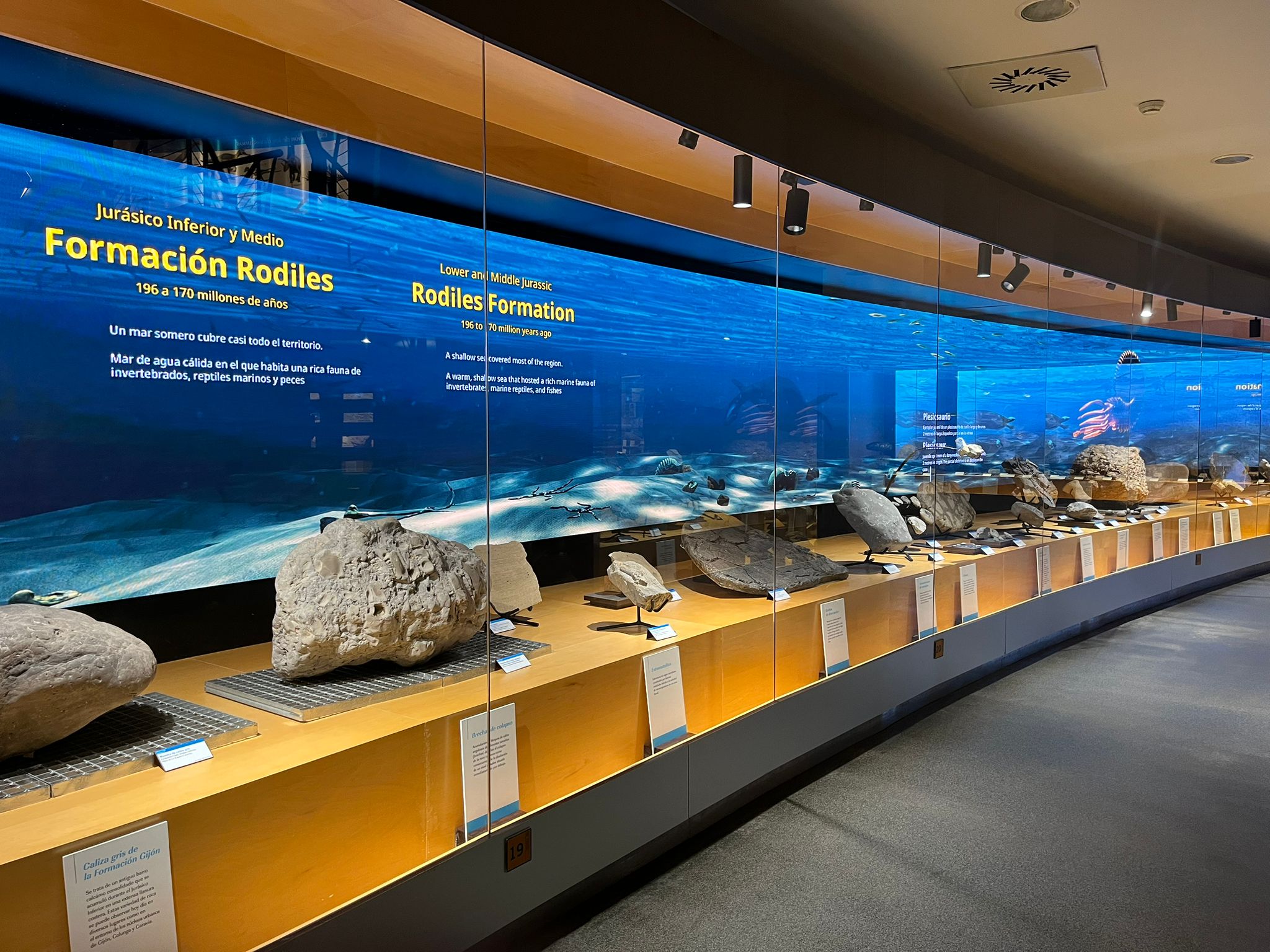 Lee más sobre el artículo NUNSYS GROUP LLEVA A CABO LA DIGITALIZACIÓN DEL MUSEO DEL JURÁSICO DE ASTURIAS